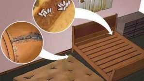 Naučíte se tam, kde se schovávají, tyto nechutné brýle. Řekneme vám, jak je zničit a porazit.